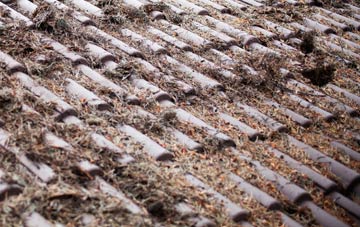 Pont Rug roof cleaning companies